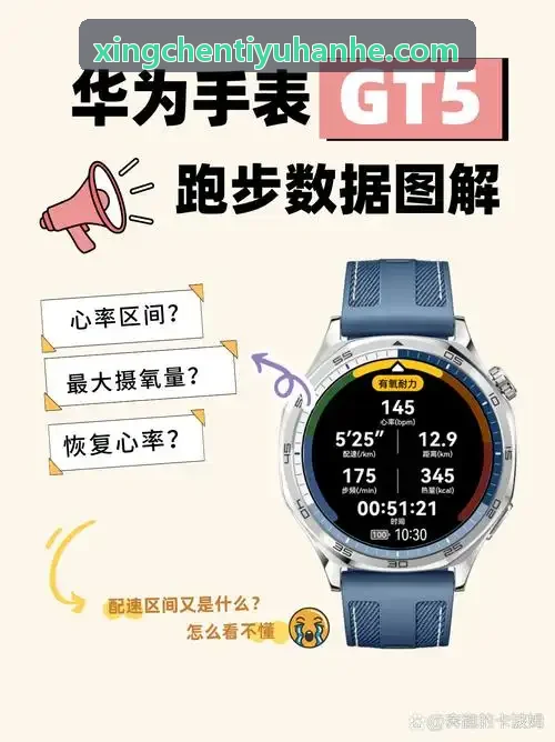 XINGCHENTIYU中考体测系统